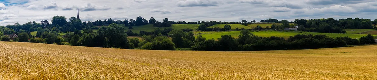 Climb St. Bartholomew's Cathedral Tower in Plzeň