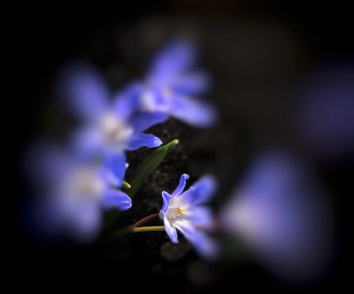 10 Best Free Things to See in Plzeň (2026 Guide)