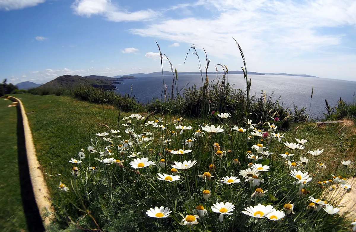Meditation Garden Plzeň Opening Hours and Prices 2026
